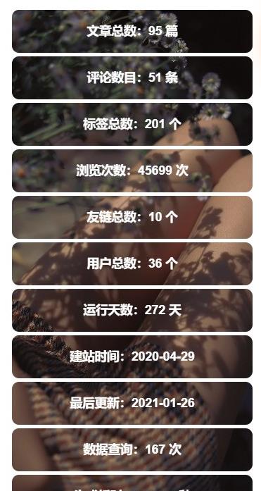 WordPress侧边栏信息统计小工具